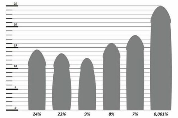 Статистика размера пениса